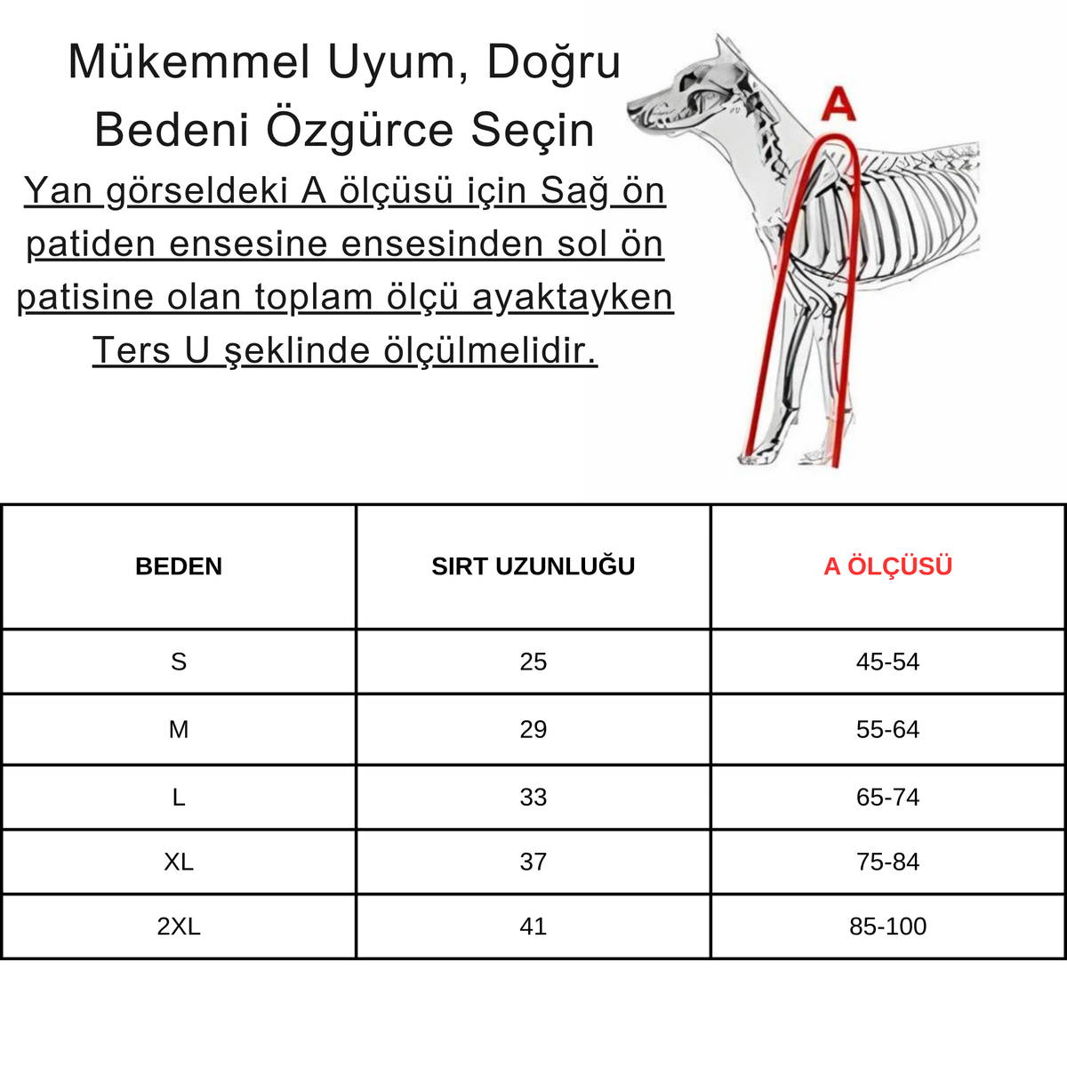 Ayakkabılı Köpek Pantolonu-Tulumu — Beden Tablosu