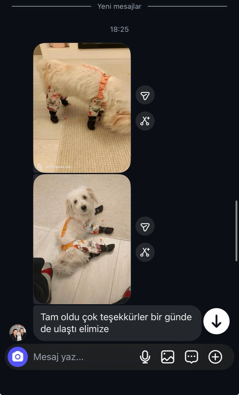 Ayakkabılı tulum giyen köpeğin fotoğraflarını ve müşteri mesajını içeren ekran görüntüsü
