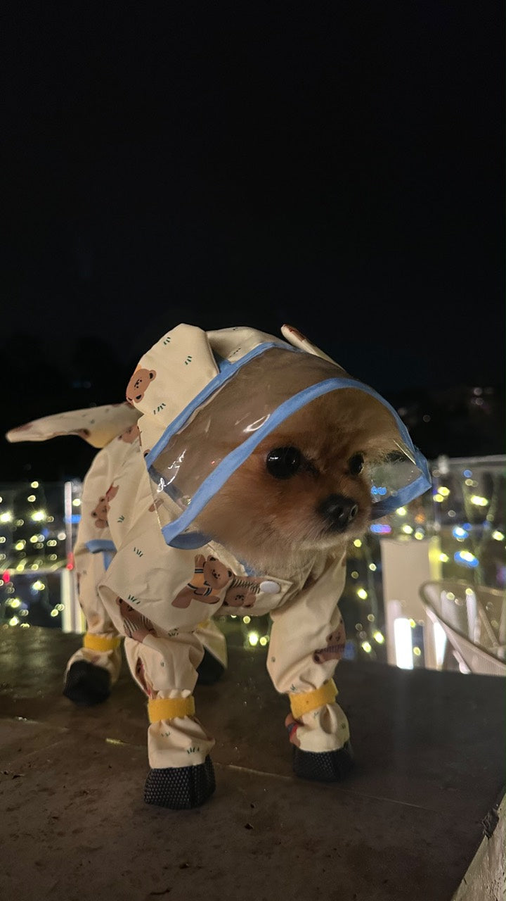 Ayıcık desenli yağmurluğu ve şeffaf vizörüyle köpek, gece dış mekânda